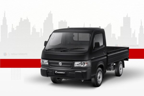 New Carry Pick Up New Carry Pick Up